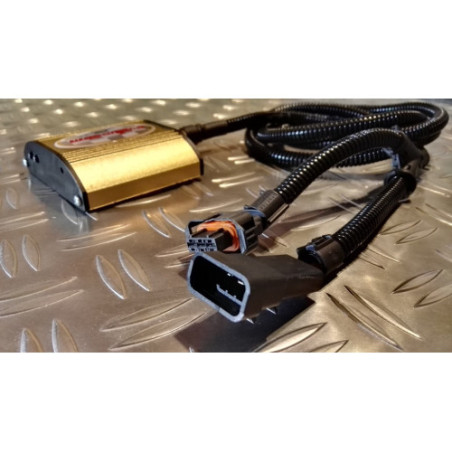 Power Box Evolussem Mercedes Sprinter II 313 CDI 129Ps +29Ps +51Nm